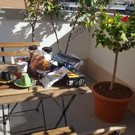 Airport & Fair * 피우미치노