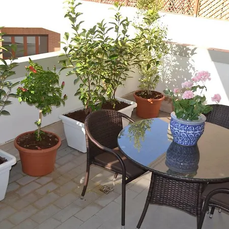 Airport & Fair * 피우미치노