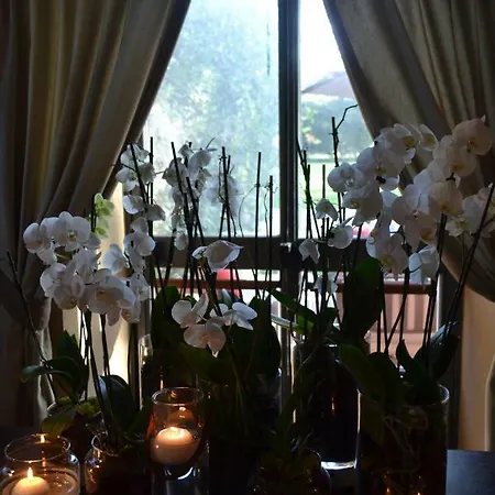 Airport & Fair * 피우미치노