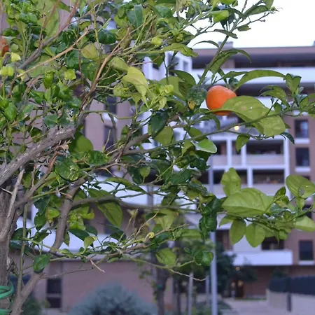 Airport & Fair 아파트