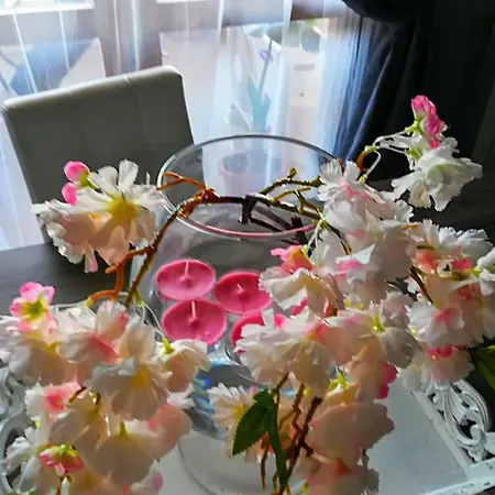 아파트 Airport & Fair *